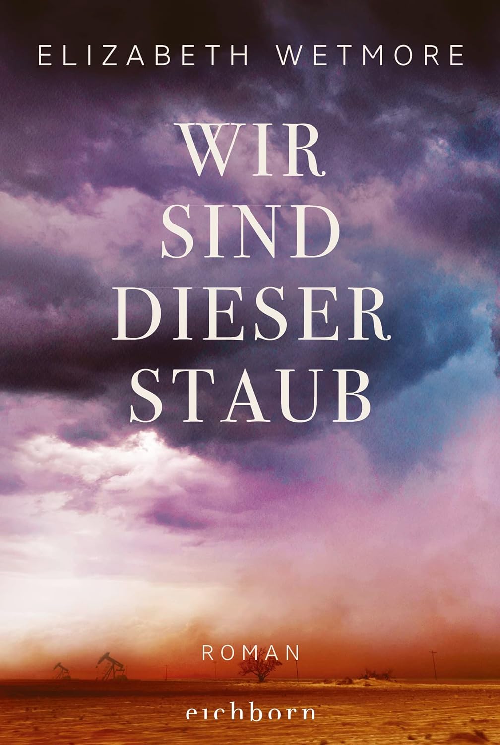 Cover Wir sind dieser Staub von Elizabeth Wetmore
