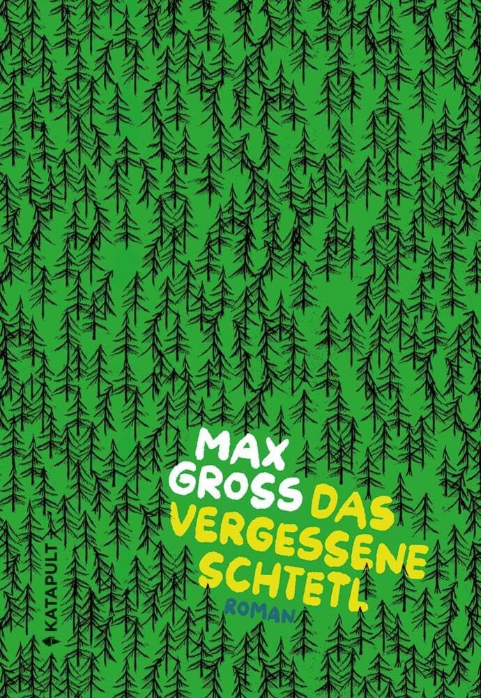 Cover Das vergessene Schtetl von Max Gross