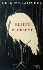 Cover Kleine Probleme von Nele Pollatschek