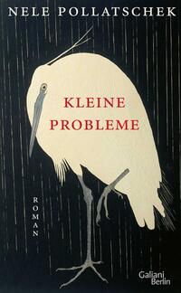 Cover Kleine Probleme von Nele Pollatschek
