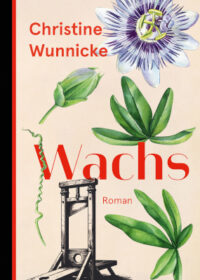 Cover Wachs von Christine Wunnicke