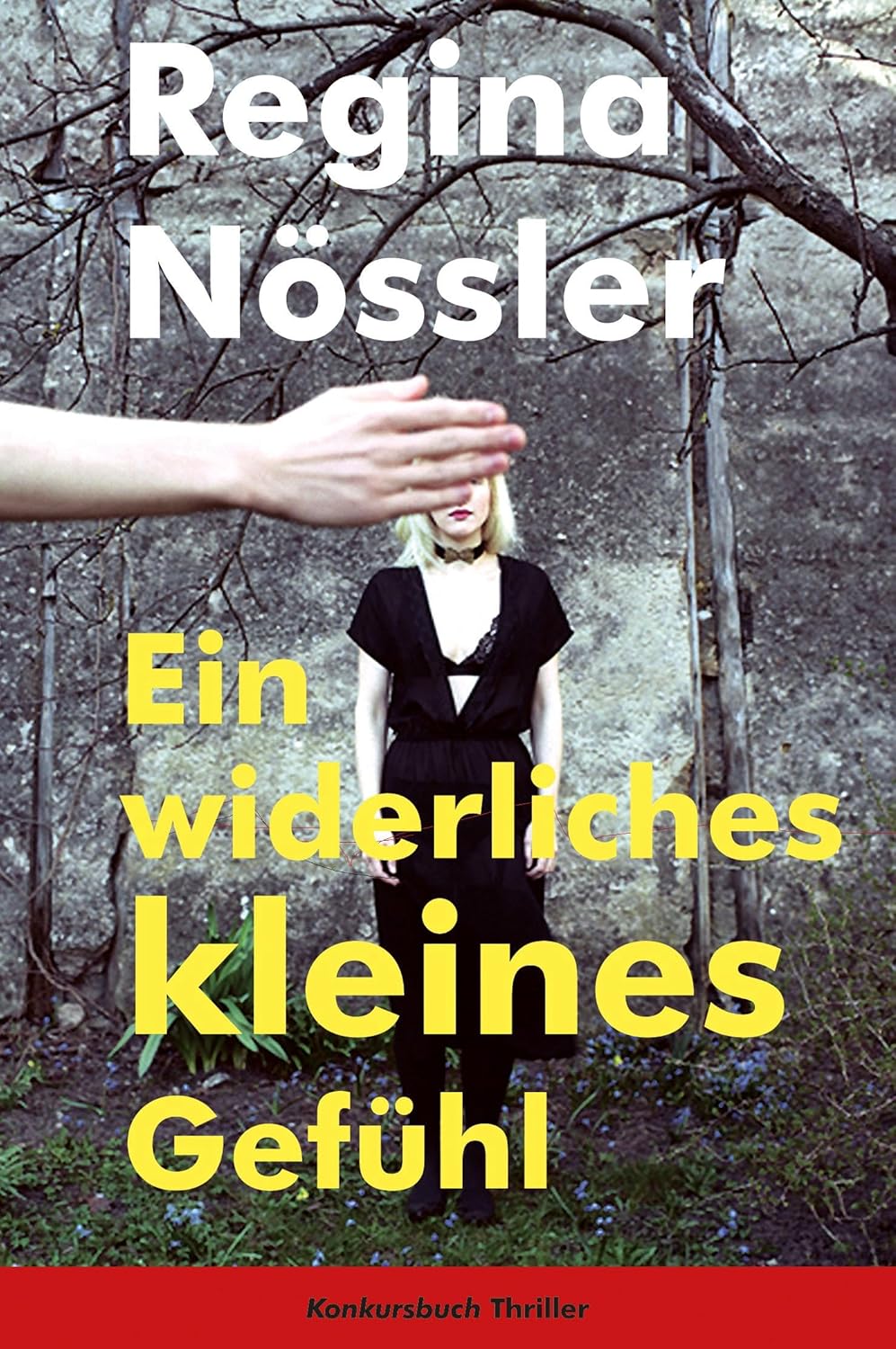 Cover Ein widerliches kleines Gefühl von Regina Nössler