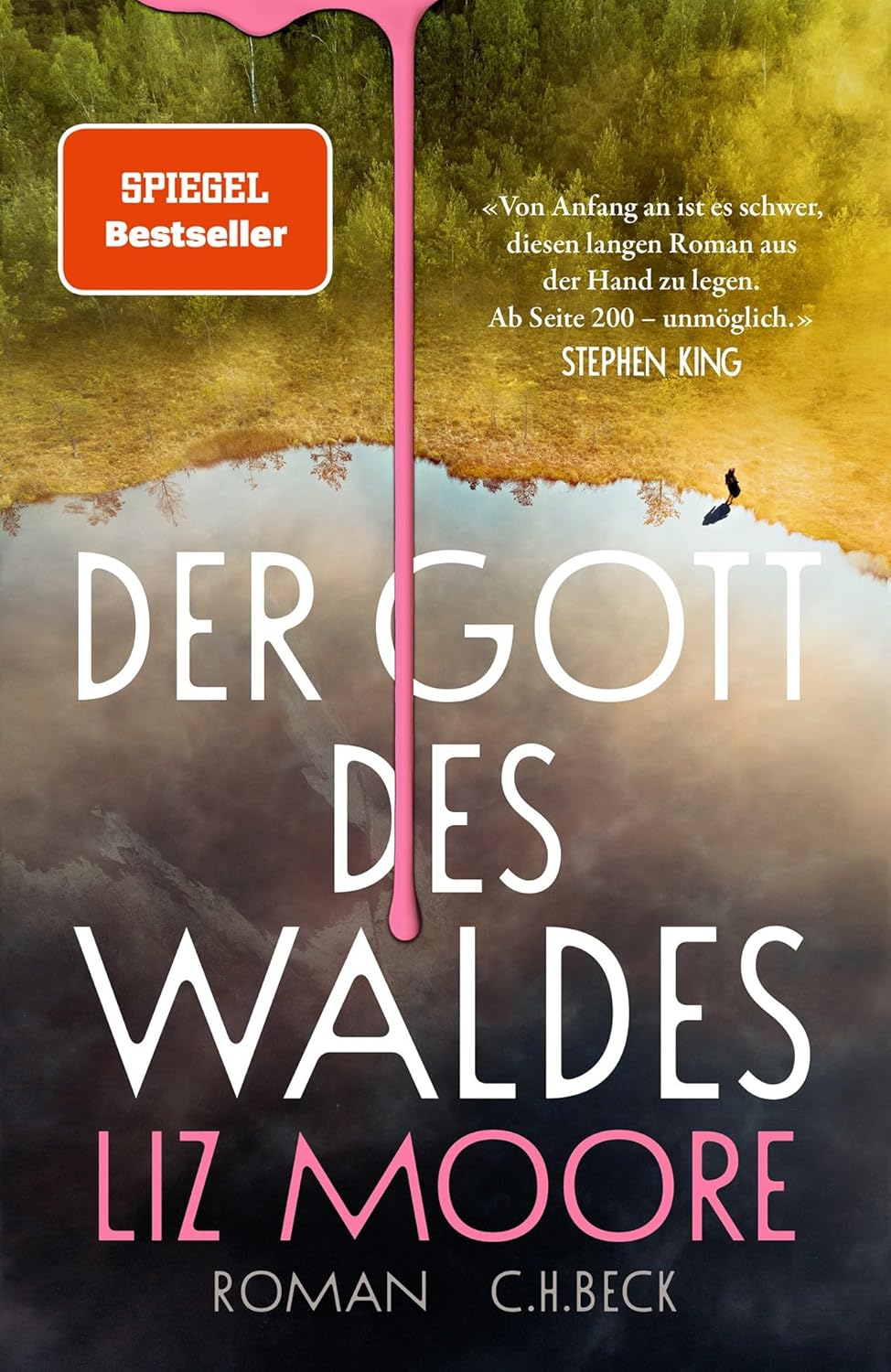 Cover Der Gott des Waldes von Liz Moore