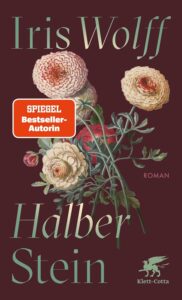 Cover Halber Stein von Iris Wolff