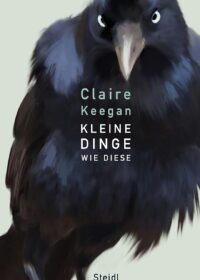 Cover Kleine Dinge wie diese von Claire Keegan