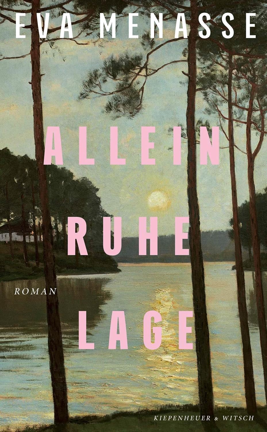 Cover Alleinruhelage von Eva Menasse