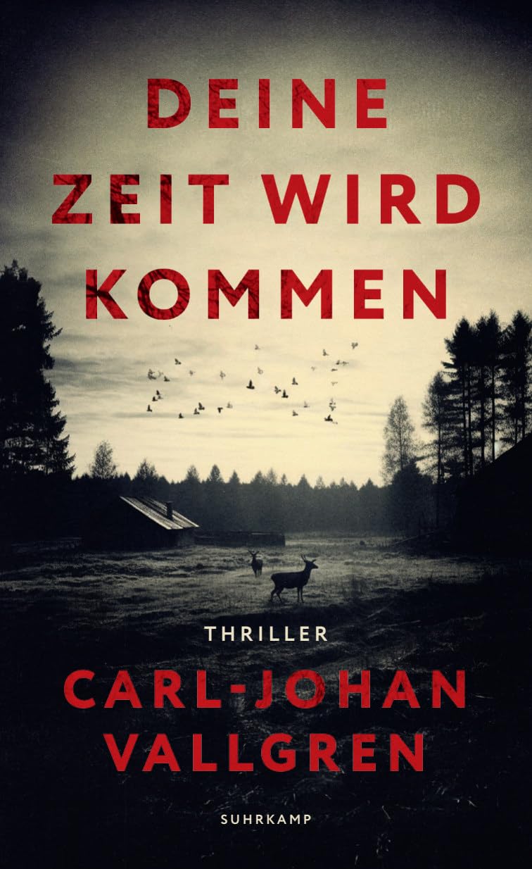 Cover Deine Zeit wird kommen von Carl-Johan Vallgren